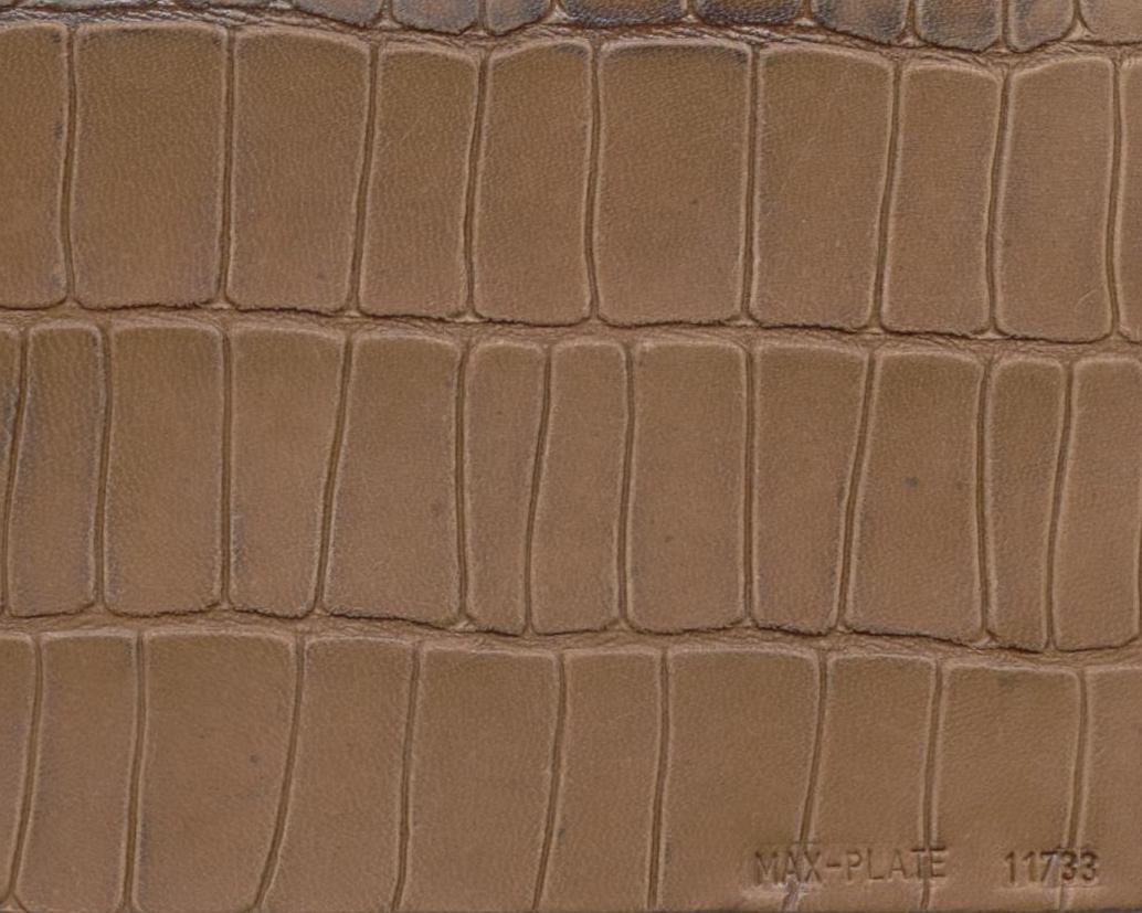 Assumenda accus antium